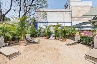 5 Loft Suites - Città del Messico - 8