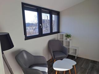 Appartement 3 pièces tout confort, Aux Portes de Colmar - 3