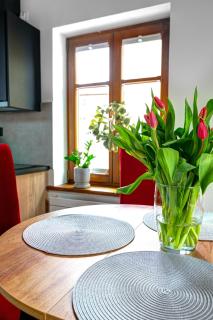 Willa KAMELIA-apartamenty - Krynica-Zdrój - 4
