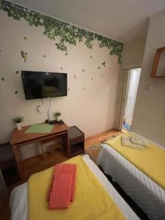 Vacigreen - Budapest - 2
