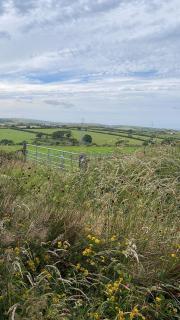 Fentrigan Manor Farm & Holiday Cottages - Bude - 7