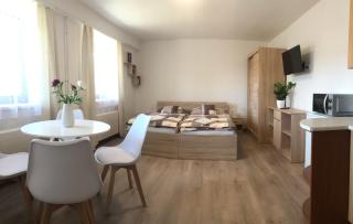 Apartmán PodFaustinkou - Sušice - 8