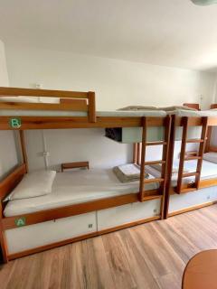 Jardim Botânico House - 7