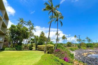 Kuhio Shores- Oceanfront, AC, Ground Floor - Koloa - 1