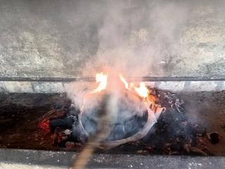 Odmor u Komaranima - 5