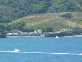maison Paulilles - Port-Vendres - 9