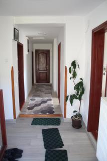 Odmor u Komaranima - 3