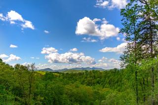 Mountain Crest Pet-friendly Log Cabin with Mountain Views! - Marion - 5