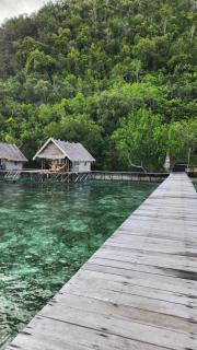 Terimakasih homestay - 8