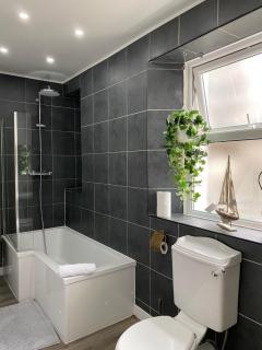 Specious City Victorian House - Plymouth - 3