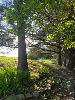 Hermosa Casa V. General Belgrano - 8