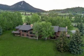 Moose On The Loose - Red Lodge - 9