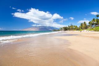 Luxury Condo at Kameole Beach T106 - 8