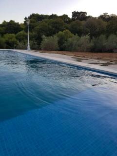 Charming chalet in Almodóvar del Río with private pool - 4