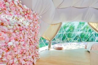 Unique Escapes - Rosé All Day Geodome - Monticello - 3