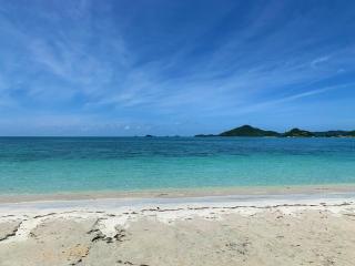 Jolly Holiday Apartment 1 B - Saint Mary - 8