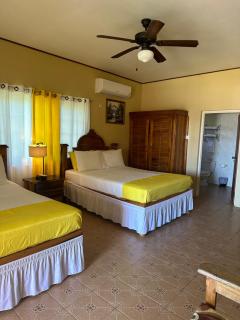 Brytan Villa - Treasure Beach - 4