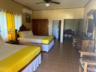 Brytan Villa - Treasure Beach - 5
