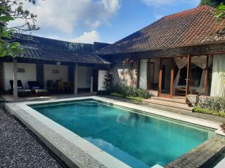Nefatari Exclusive Villas - Ubud - 7