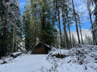 Chalet at Rainier Lodge (0.4 miles from the entrance) - Ashford - 5