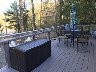 Lake Access with a View! Lake Wallenpaupack . - Greentown - 8