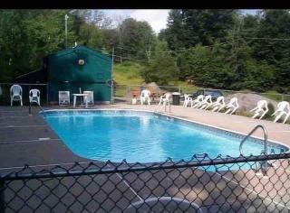Lake Access with a View! Lake Wallenpaupack . - Greentown - 5