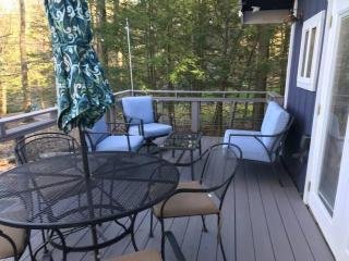 Lake Access with a View! Lake Wallenpaupack . - Greentown - 7
