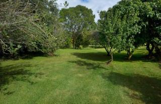 Quiet Country Retreat - Forster - 2