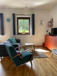 Apartman Jelen - 9