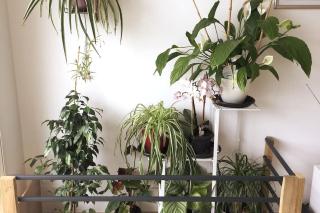 A l'ombre du Saule. Villa 10 personnes + piscine - 2