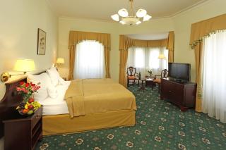 Hotel Mignon - Karlovy Vary - 9