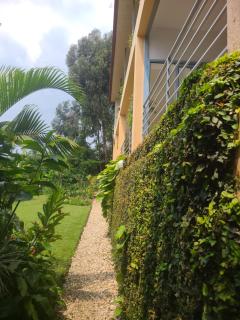 Rubavu Buy And Sell Ltd, real estate agency - Gisenyi - 5