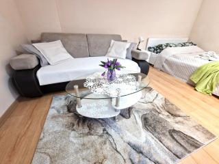 ApartHouse Apartamenty Centrum - Sosnowiec - 5