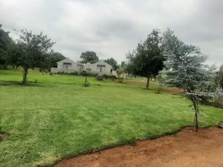 Umbuntu guesthouse - Parys - 9