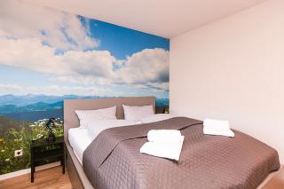 FeWo AllgäuStern Steibis mit WLAN Sauna Kamin und Oberstaufen PLUS Card - Oberstaufen - 7