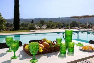 PODERI LA ROCCHETTA Luxury Villa on the Hills of Lake Garda - San Felice del Benaco - 3