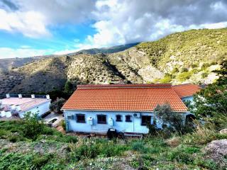 Finca Floretta - Canillas de Albaida - 9
