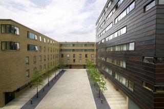 UCL Frances Gardner House - London - 0