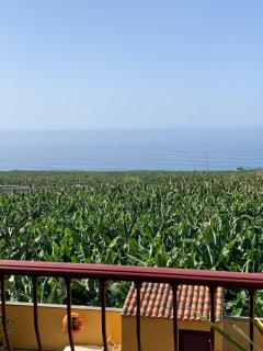 Apartamento Los Guirres - Tazacorte - 1