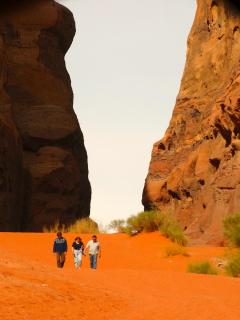Wadi rum view camp - Wadi Rum - 6