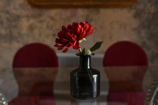 Brancovenian Wonder - 3BR Apartment near Cismigiu Park - 7