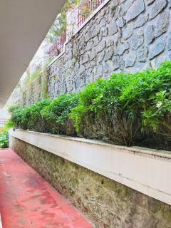 Costa Cliff - Kodaikānāl - 5