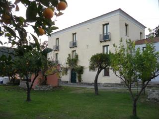 Barone GR Macrì Agriturismo Modi - 5