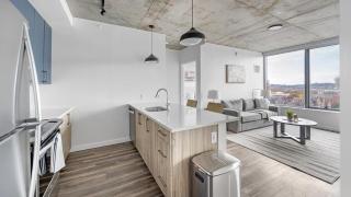 Landing - Modern Apartment with Amazing Amenities (ID1401X747) - Nashville - 0