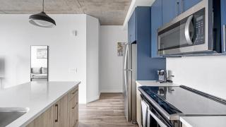 Landing - Modern Apartment with Amazing Amenities (ID1401X747) - Nashville - 9