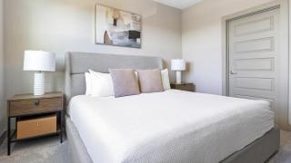 Landing Modern Apartment with Amazing Amenities (ID8166X83) - Austin - 1