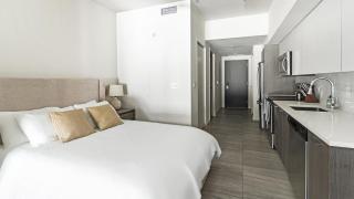 Landing Modern Apartment with Amazing Amenities (ID1797X50) - Miami - 5