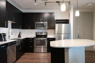Landing Modern Apartment with Amazing Amenities (ID4423X39) - 5