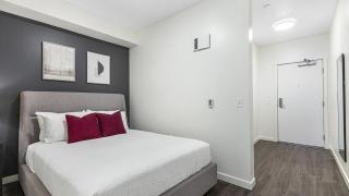 Landing Modern Apartment with Amazing Amenities (ID1508X24) - 4