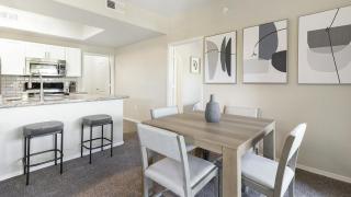 Landing Modern Apartment with Amazing Amenities (ID1172X105) - Tucson - 6